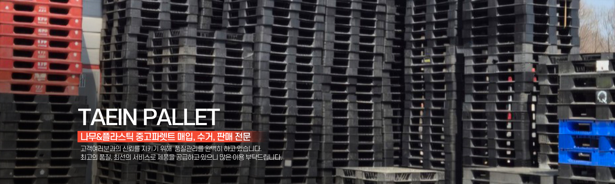 20250402151355_mKQA7YzX.jpg_carousel_경기광주성남하남 중고파렛트 태인파렛트_경기광주중고파렛트,성남중고파렛트,하남중고파렛트,경기광주중고파레트,성남중고파레트,하남중고파레트,나무파렛트,중고파렛트